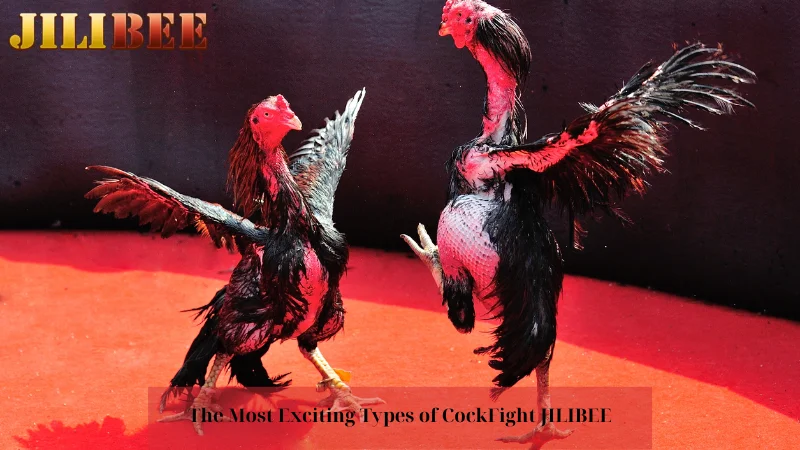 how to place a bet on the belmont stakes